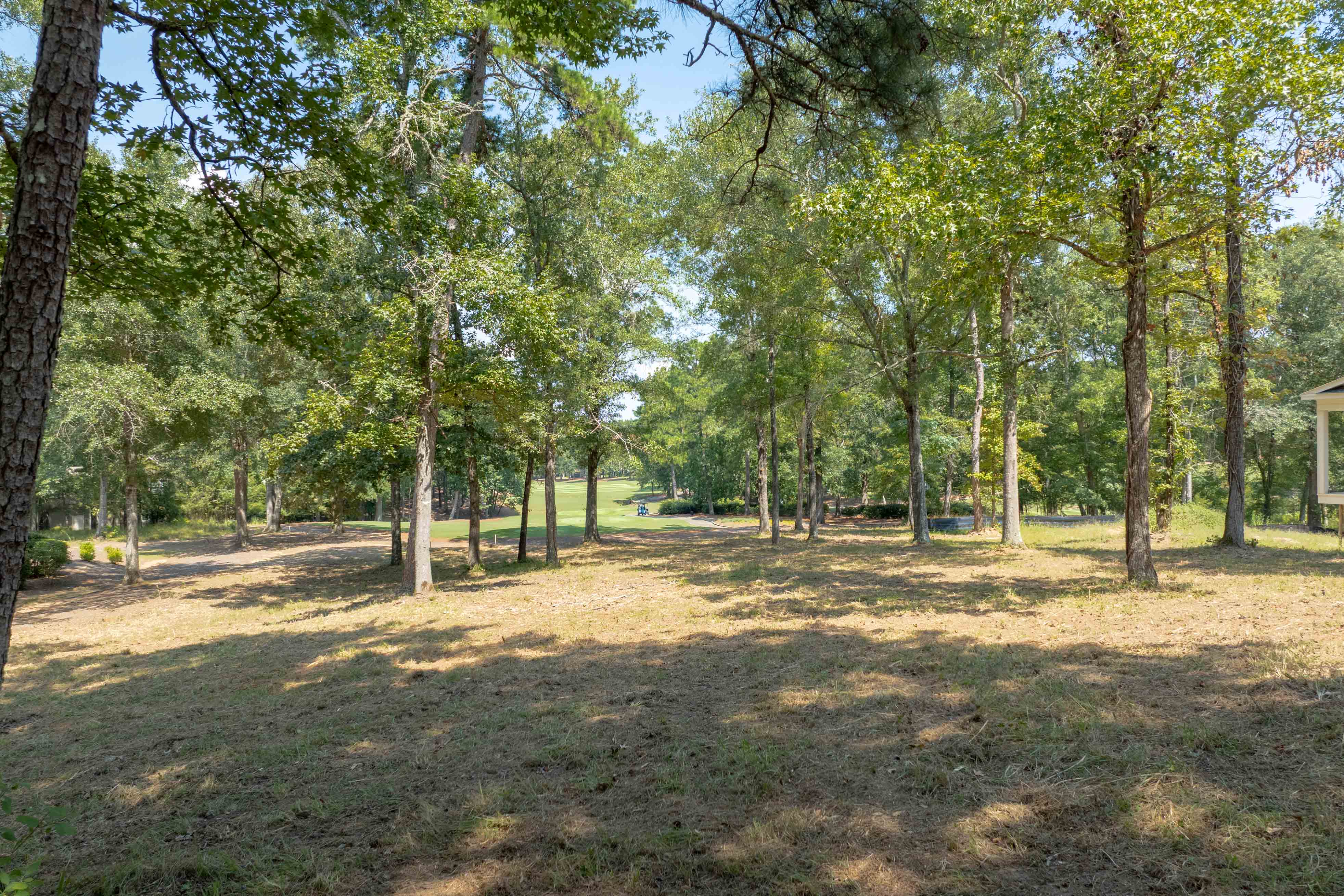 161 Broadlands Drive image 10